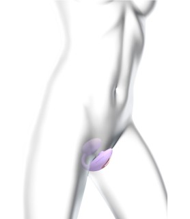 Double stimulateur Wonderlover mauve - Love to Love