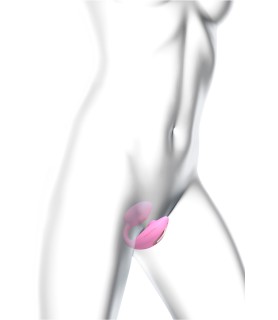Double stimulateur Wonderlover rose - Love to Love