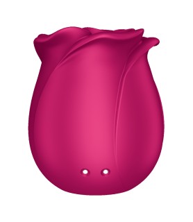 Stimulateur clitoridien Satisfyer Pro 2 Classic Blossom
