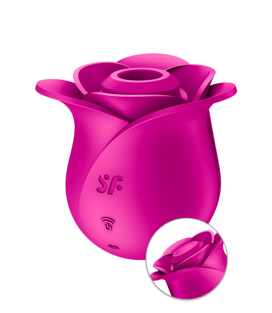 Stimulateur clitoridien Satisfyer Pro 2 Modern Blossom