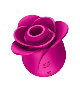 Stimulateur clitoridien Satisfyer Pro 2 Modern Blossom