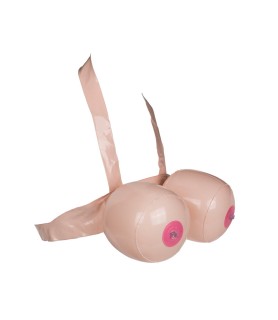 Jeu de combat coquin Boob Battle