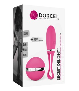 Oeuf vibrant télécommandé Secret Delight
