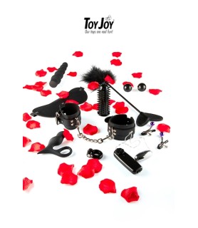 Lovetoy starter kit