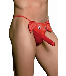 cache sexe éléphant